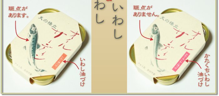 竹中缶詰オイルサーディン　真いわし＆かたくちいわしの比較